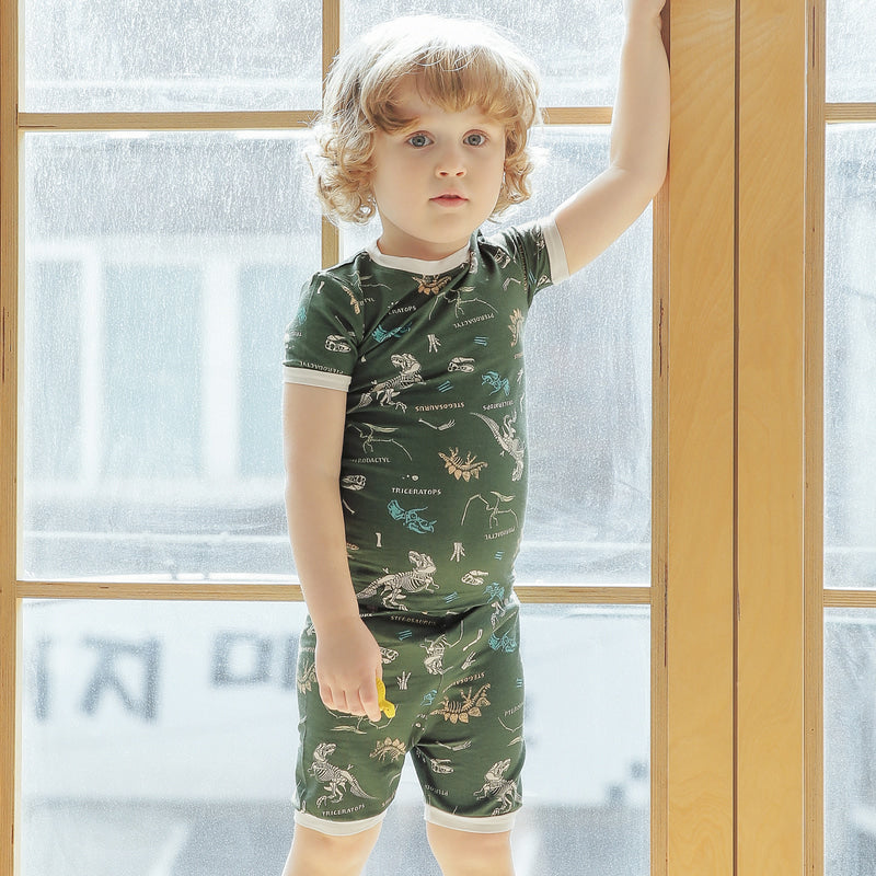 Short sleeve Wonderful Dino