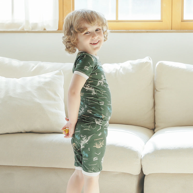 Short sleeve Wonderful Dino