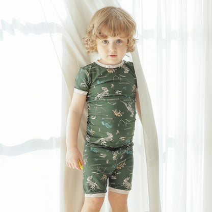 Short sleeve Wonderful Dino
