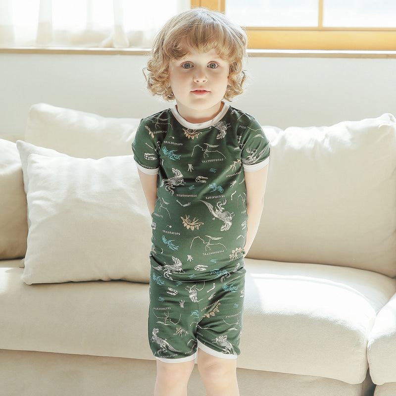 Short sleeve Wonderful Dino